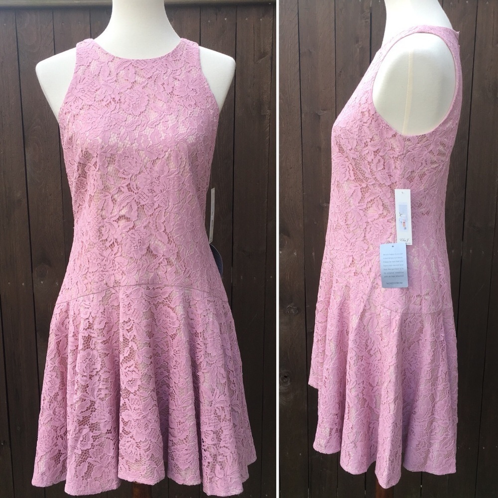 Eliza J | Pink & Nude Lace Dress Size 2